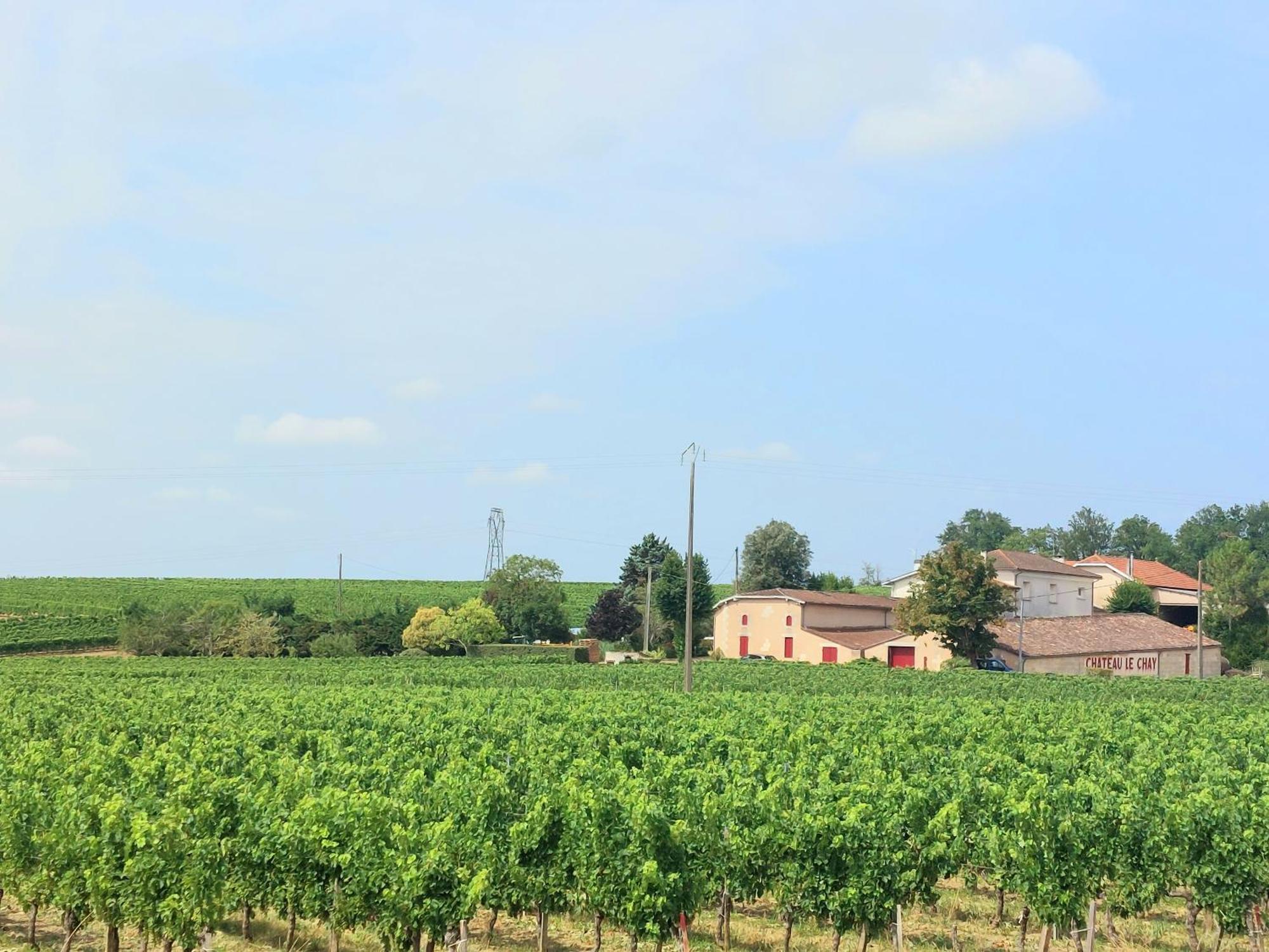 Apartamento Duplex Cocoon - 10 Min De Blaye - 20 Min Cnpe - Wifi - Tv Hd Saint-Seurin-de-Cursac Exterior foto